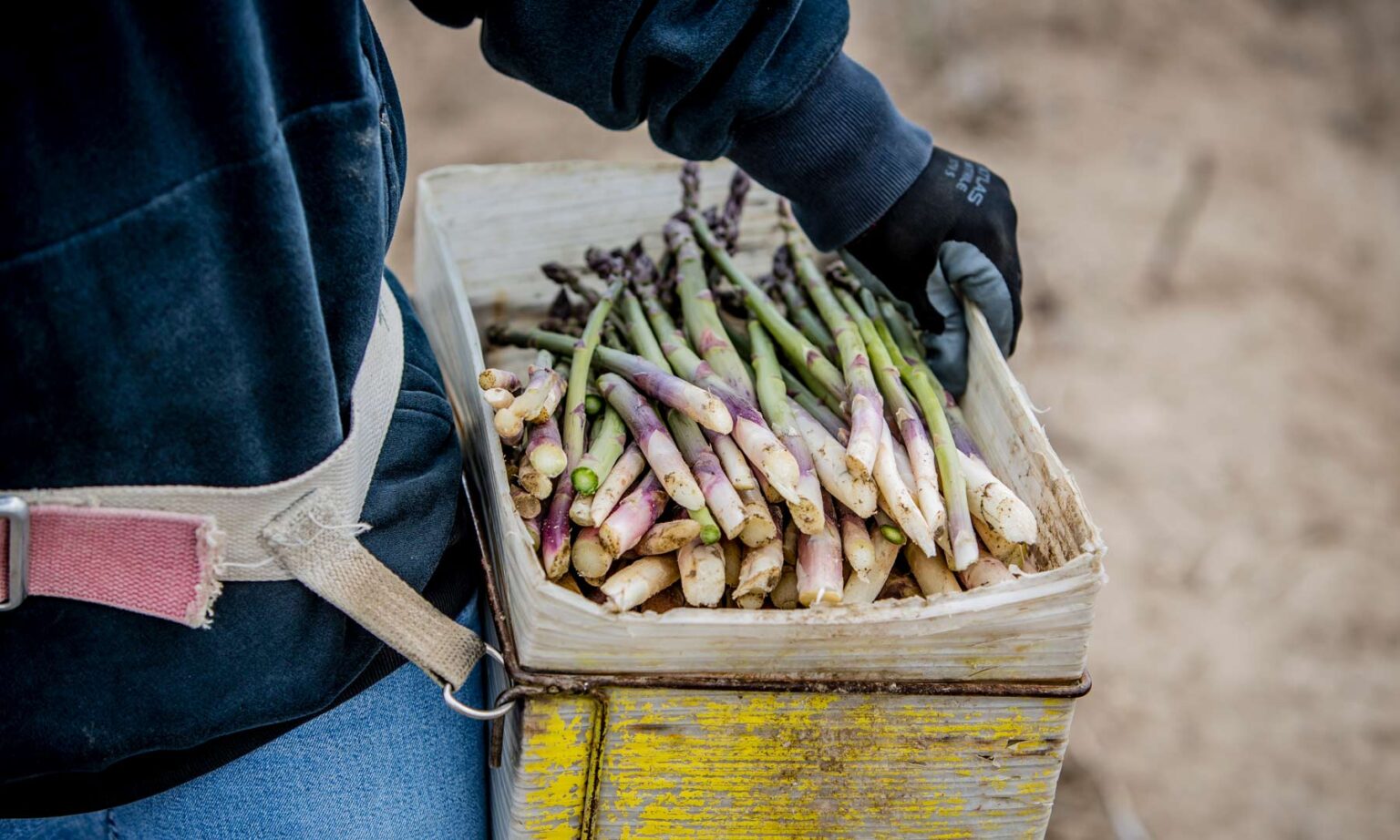Home Owyhee Produce