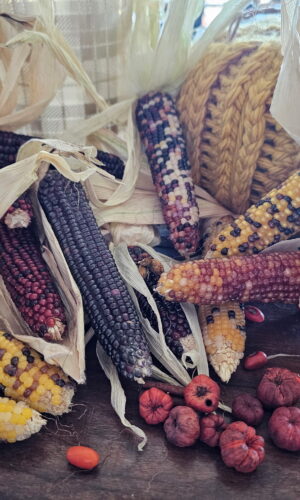 Indian Gem Glass Corn 5 pc bundle